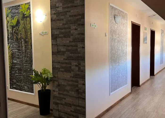 Szálloda Star Napospart